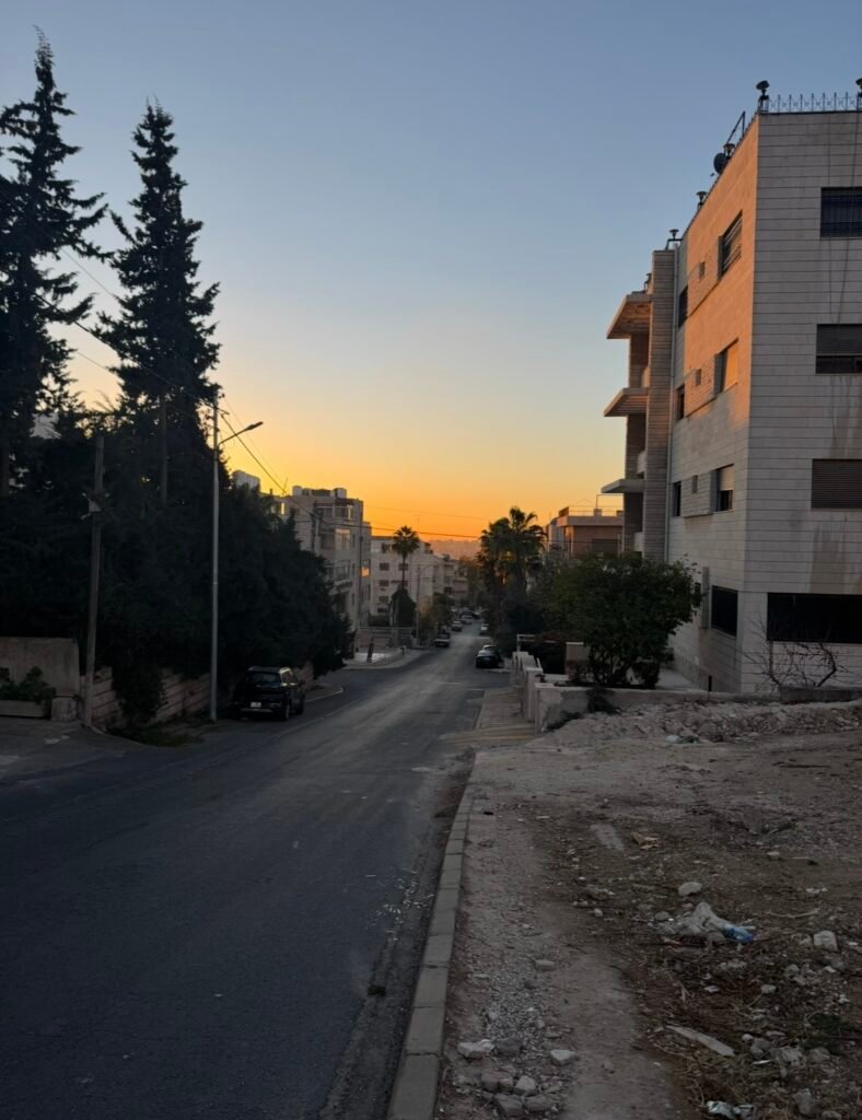 The Streets of Amman